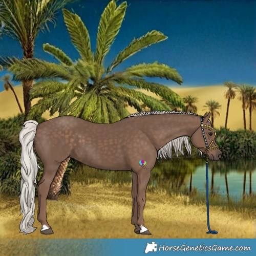 Horse Color:Silver Black 