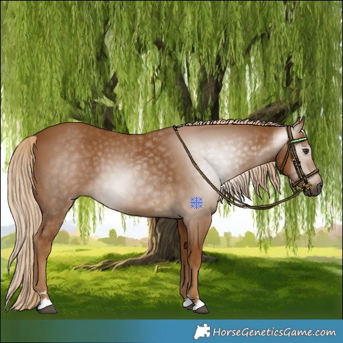 Horse Color:Gray Palomino
