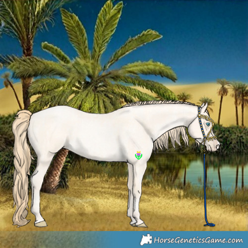 Horse Color:Buckskin Roan Pearl  and Buckskin Roan Pearl Splash 
