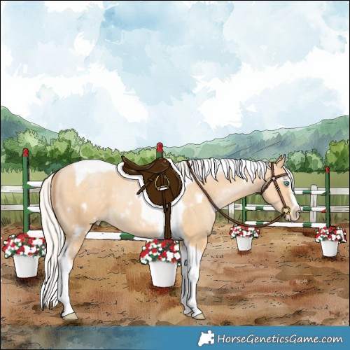 Horse Color:White Spotted Silver Smoky Black Pearl Splash Tobiano Frame 