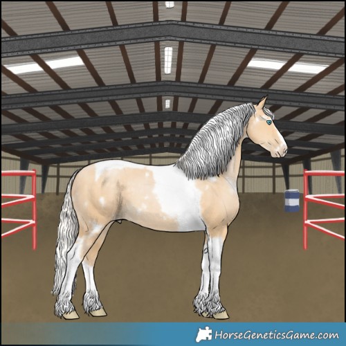 Horse Color:White Spotted Silver Smoky Black Pearl Splash Tobiano Frame