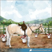 Horse Color:White Spotted Silver Smoky Black Pearl Splash Tobiano Frame