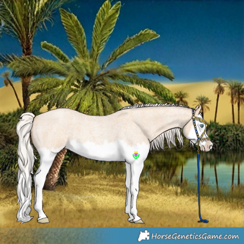 Horse Color:Silver Classic Champagne Roan Dun Splash Frame