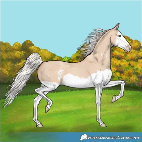 Horse Color:Silver Classic Champagne Dun Splash Frame 