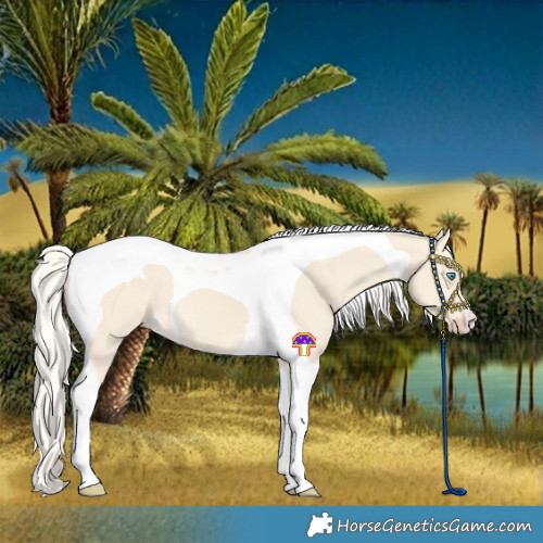 Horse Color:Cremello Tobiano