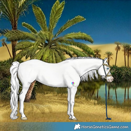 Horse Color:Silver Perlino Dun