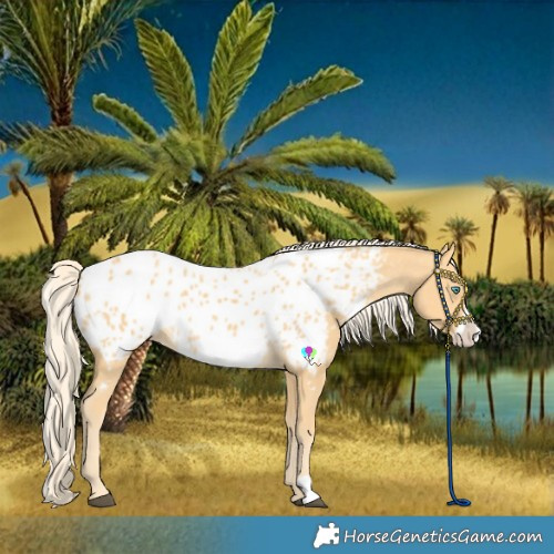 Horse Color:Palomino Frame Near Leopard 