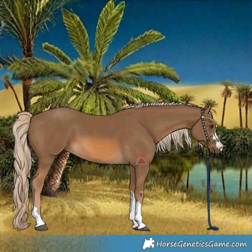 Horse Color:Chocolate Palomino