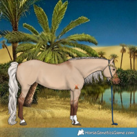Horse Color:Silver Bay Dun
