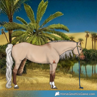 Horse Color:Silver Bay Dun 