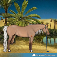 Horse Color:Silver Bay Dun 