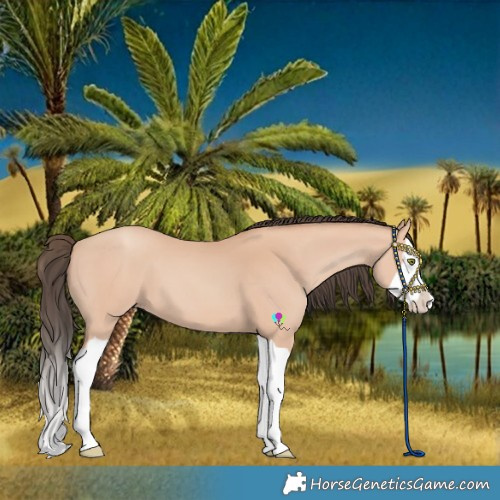 Horse Color:Amber Champagne Splash
