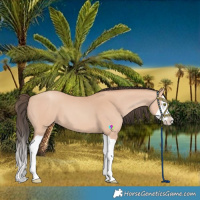Horse Color:Amber Champagne Splash