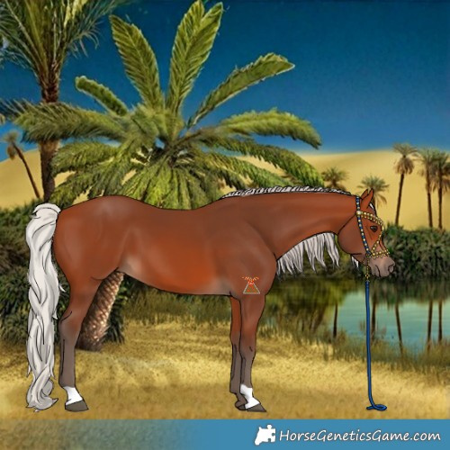 Horse Color:Silver Bay