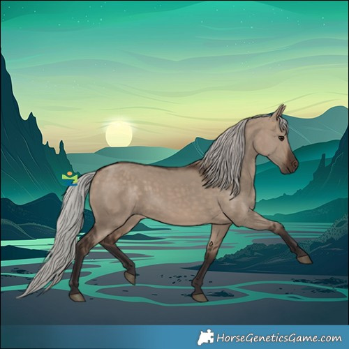 Horse Color:Silver Brown Dun 