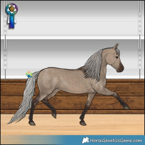 Horse Color:Silver Brown Dun 