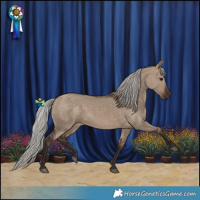 Horse Color:Silver Brown Dun