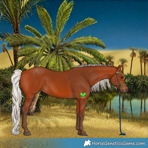 Horse Color:Silver Bay