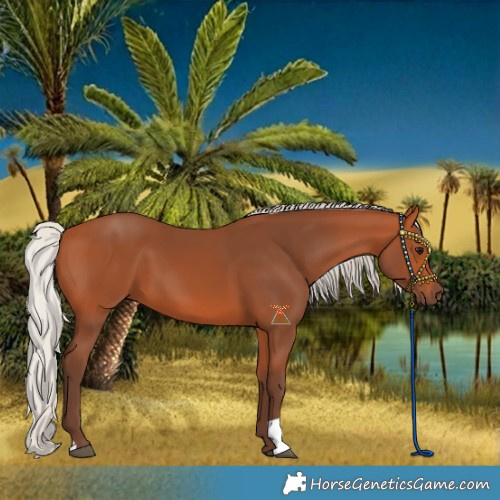Horse Color:Silver Bay