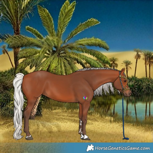 Horse Color:Silver Bay