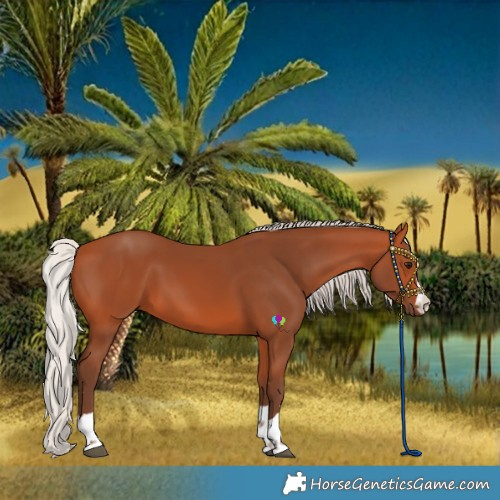 Horse Color:Silver Bay