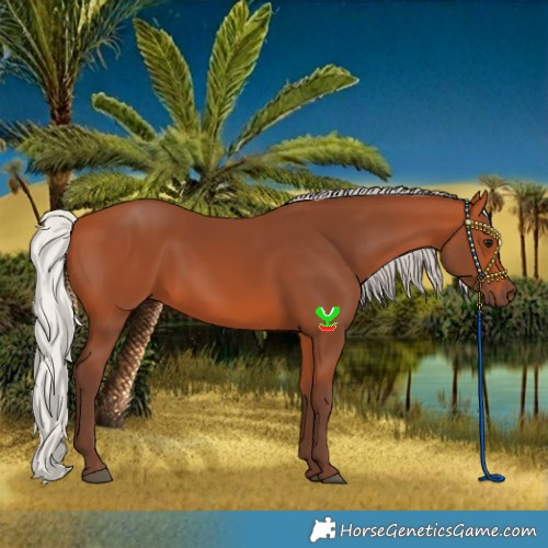 Horse Color:Silver Bay