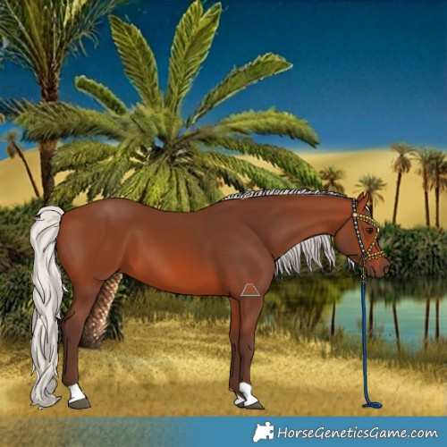 Horse Color:Silver Brown