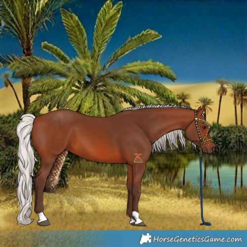 Horse Color:Silver Brown 