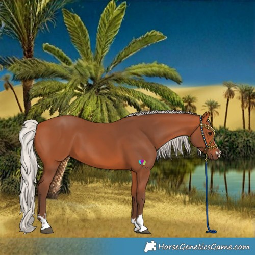 Horse Color:Silver Bay