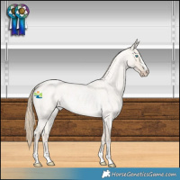 Horse Color:Smoky Creme Roan Dun 
