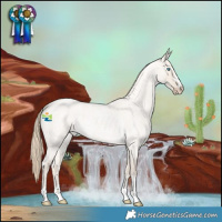 Horse Color:Smoky Creme Roan Dun 