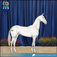 Horse Color:Smoky Creme Roan Dun 