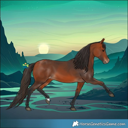 Horse Color:Bay Varnish 