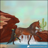 Horse Color:Bay Varnish 