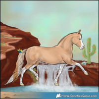 Horse Color:Gold Champagne Splash
