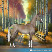 Horse Color:Liver Red Dun Mushroom 