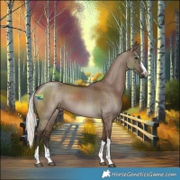 Horse Color:Liver Red Dun Mushroom