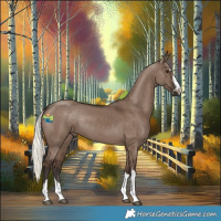 Horse Color:Liver Red Dun Mushroom 
