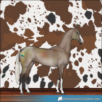 Horse Color:Liver Red Dun Mushroom 