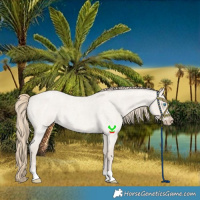 Horse Color:Smoky Creme Roan Dun 