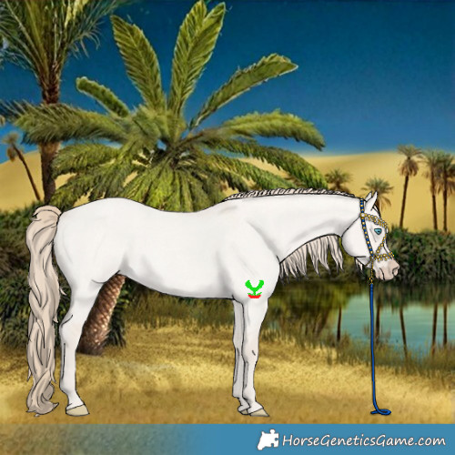 Horse Color:Smoky Creme Roan Dun 