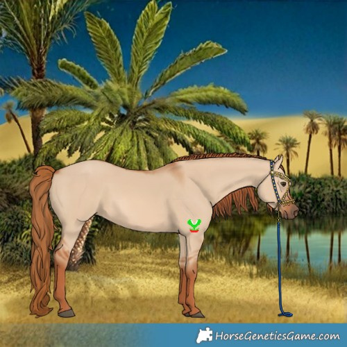 Horse Color:Red Dun 