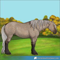 Horse Color:Silver Brown Dun 