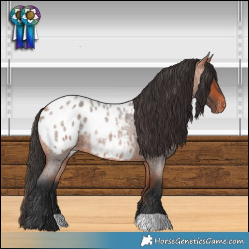 Horse Color:Bay Roan Blanket 