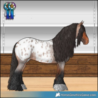 Horse Color:Bay Roan Blanket 