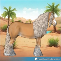 Horse Color:Palomino