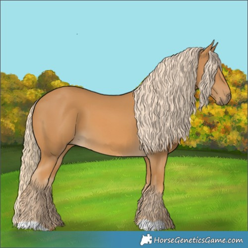 Horse Color:Palomino 