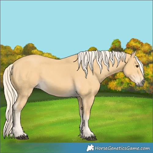 Horse Color:Palomino