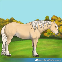 Horse Color:Palomino 