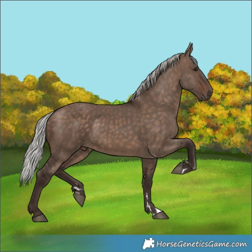 Horse Color:Silver Brown Dun